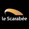 Spectacles Le Scarabee - Roanne Riorges