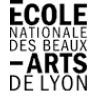 école Les Beaux Arts de Lyon