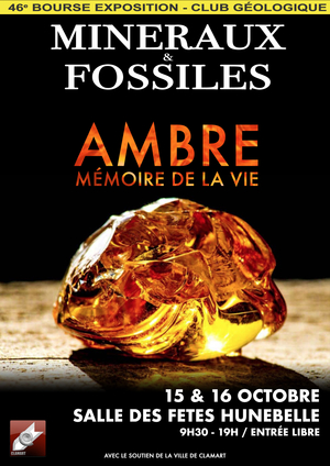 46ème Bourse-exposition Minéraux et Fossiles de Clamart