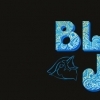 affiche Blue Jay