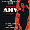 affiche THE AMY WINEHOUSE BAND