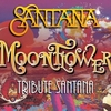 affiche Concert Tribute Santana 