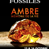 affiche 46ème Bourse-exposition Minéraux et Fossiles de Clamart