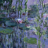 affiche Exposition "Monet - Mitchell"