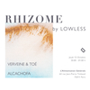 affiche Rhizome by Lowless: Verveine & Toé, Alcachofa