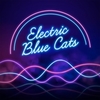 affiche Concert Electric Blue Cats