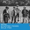Stuffed Foxes + Wild Fox (WFSF)