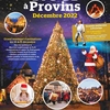 affiche Noël à Provins