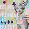 affiche Being normal is boring feat Sebs