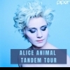 affiche Alice Animal / Tandem Tour