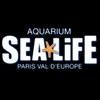 Aquarium Sea Life